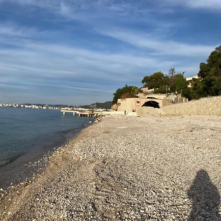 Erta Sweat Vlore